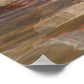 Draaien die op het Poster van het stamhout zitten (Hoek)