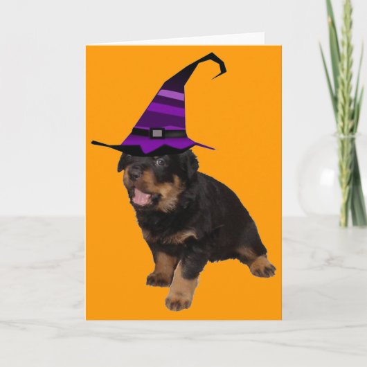 Draaien Kaart (Voorkant)