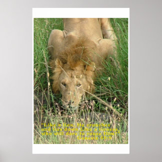 Draaien, niet verborgen poster