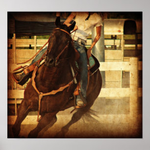 Draaiend paard poster