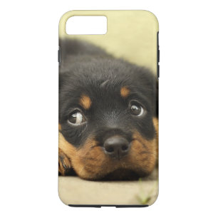 Draaiende puppy dog iPhone 8 plus / 7 plus hoesje