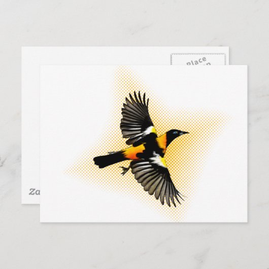 draaikolk briefkaart (Voorkant / Achterkant)