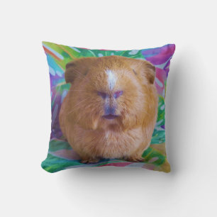 Draaikussen van cavia buitenkussen