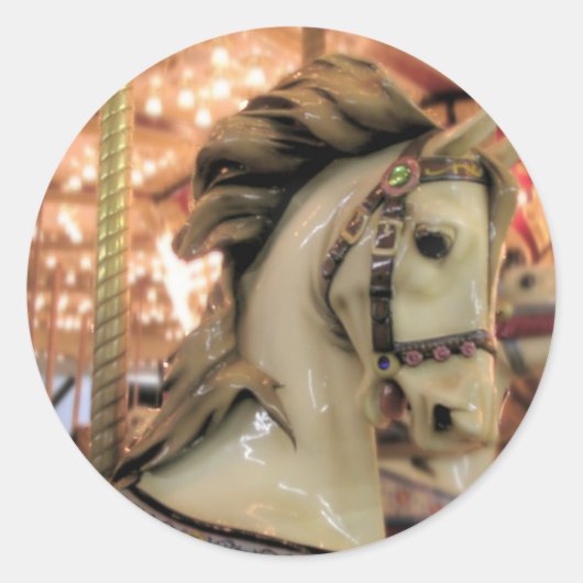 draaipaard ronde sticker (Voorkant)