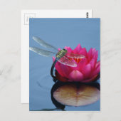 Draairy On Lotus Flower Briefkaart (Voorkant / Achterkant)