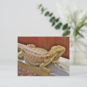 Draak 2 testen briefkaart (Staand voorkant)