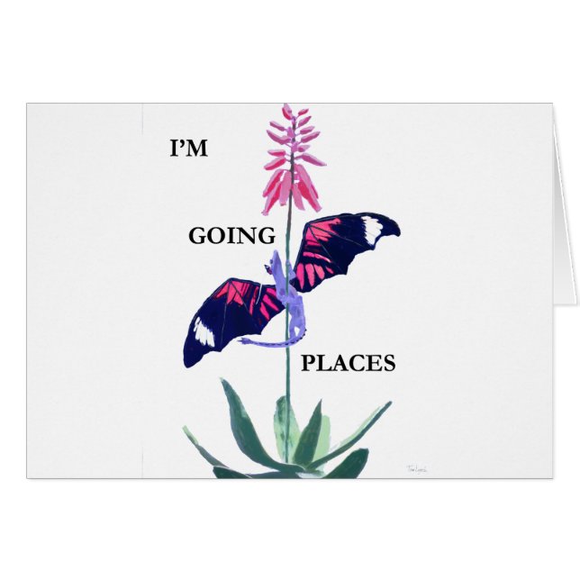 Draak en cactus (Voorkant Horizontaal)