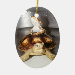 Draak en Sulcata Tortoise Keramisch Ornament