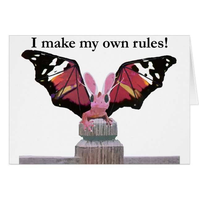 draak met konijnenoren (Voorkant Horizontaal)