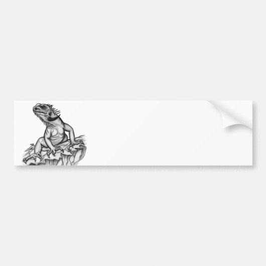 Draak op de rots bumpersticker (Voorkant)