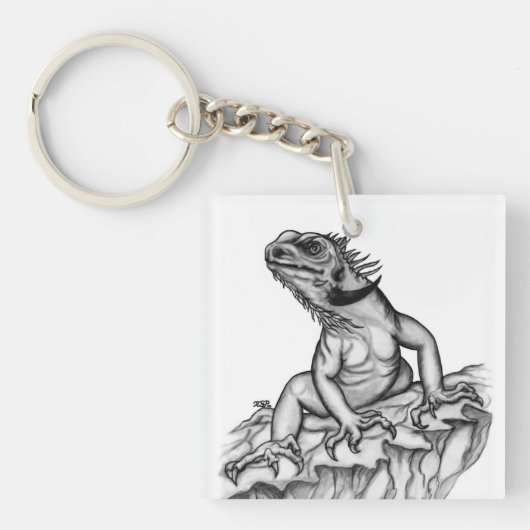 Draak op de rots sleutelhanger (Voorkant)