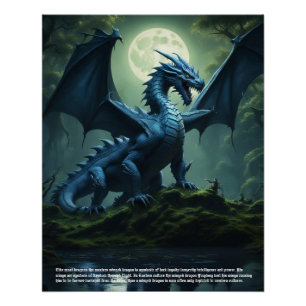 Draak Perfect Poster