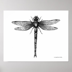 Drably ink pen drawibg art poster