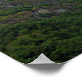 Drachenkopf II Poster (Hoek)