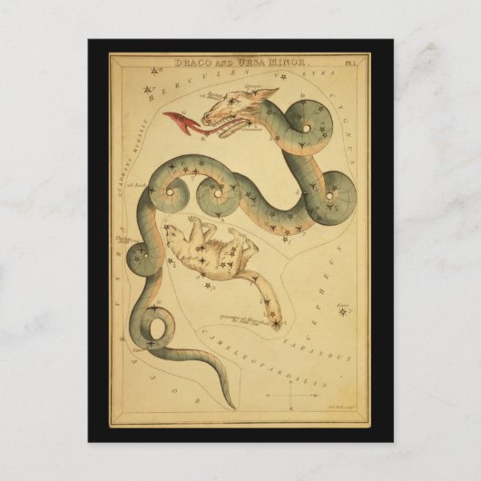 Draco en Ursa Minor Briefkaart (Voorkant)