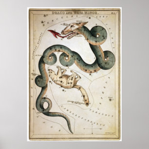 Draco en Ursa Minor Poster