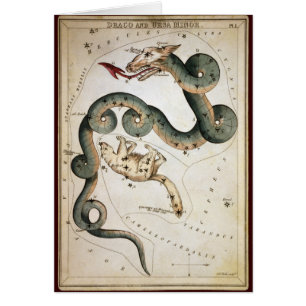 Draco et mineur d'Ursa