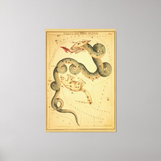 Draco the Dragon -  Astronomische Star Chart Canvas Afdruk (Voorkant)