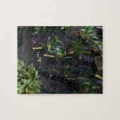 Dracula Orchid Legpuzzel (Horizontaal)