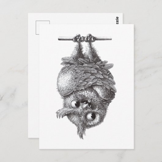 Dracula Owl Cool en zo eng Briefkaart (Voorkant / Achterkant)