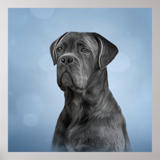 Dradenriet Corso - Italiaanse Mastiff Poster (Voorkant)