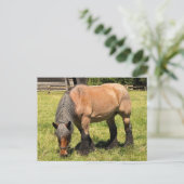 Draft Horse Briefkaart (Staand voorkant)