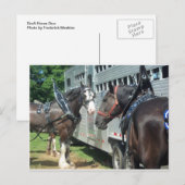 Draft Horse Duo Briefkaart (Voorkant / Achterkant)