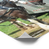 Draft Horse Duo Poster (Hoek)