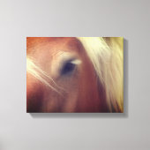 Draft Horse Eye Wisdom Canvas Afdruk (Voorkant)