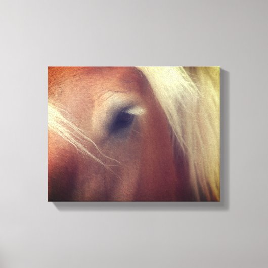 Draft Horse Eye Wisdom Canvas Afdruk (Voorkant)