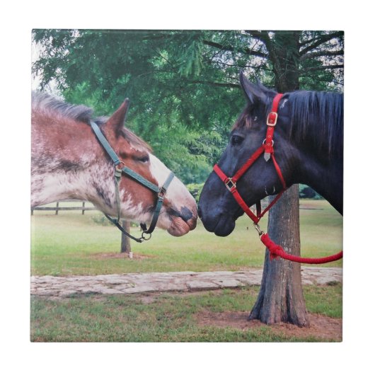 Draft Horses Tegel Tegeltje (Voorkant)