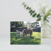 Draft Mare with Foal Briefkaart (Staand voorkant)