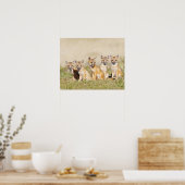 Drafvos (Vulpes macrotis), jong in den burrow, 2 Poster (Keuken)