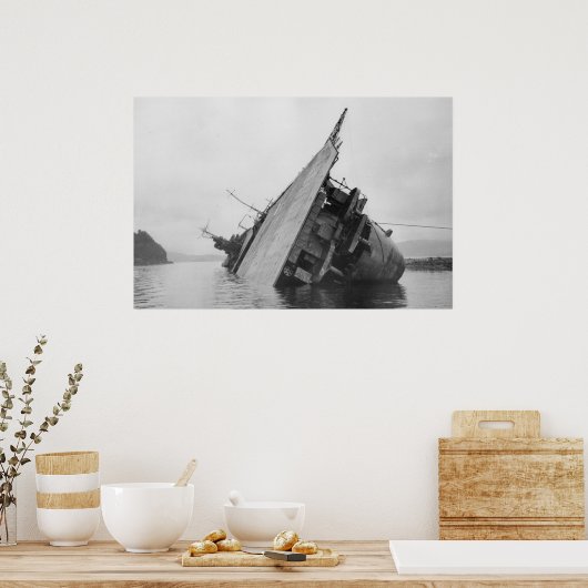 Drager Amagi Poster (Keuken)