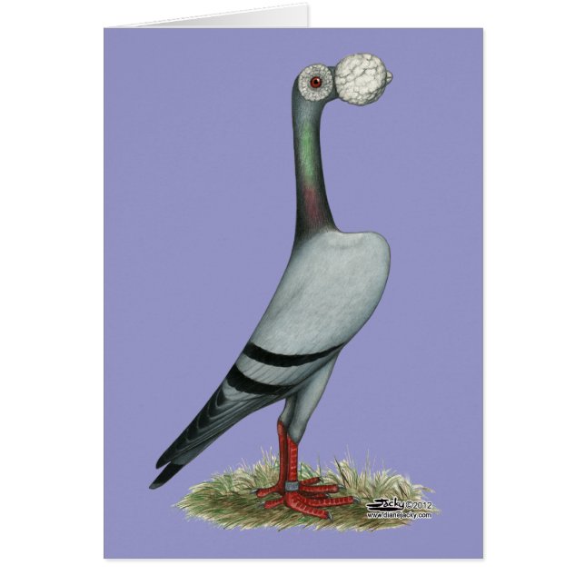 Drager duif 2012 (Voorkant)