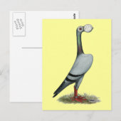 Drager duif 2012 briefkaart (Voorkant / Achterkant)