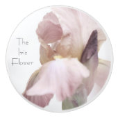 Drager. Roze/Paars Keramische Knop (Voorkant)