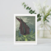 Dragon Arum, gegraveerd door Ward, uit 'The Templ' Briefkaart (Staand voorkant)