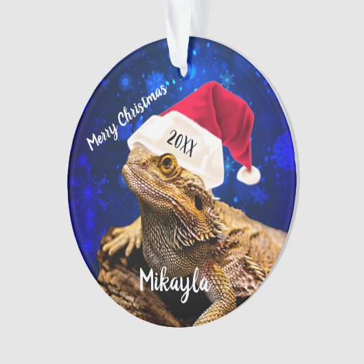 Dragon barbu à Santa Hat   (devant)