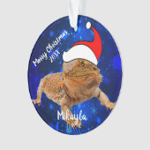 Dragon barbu à Santa Hat   (devant)