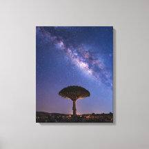 Dragon Blood Tree Melkweg Canvas Oude Natuur