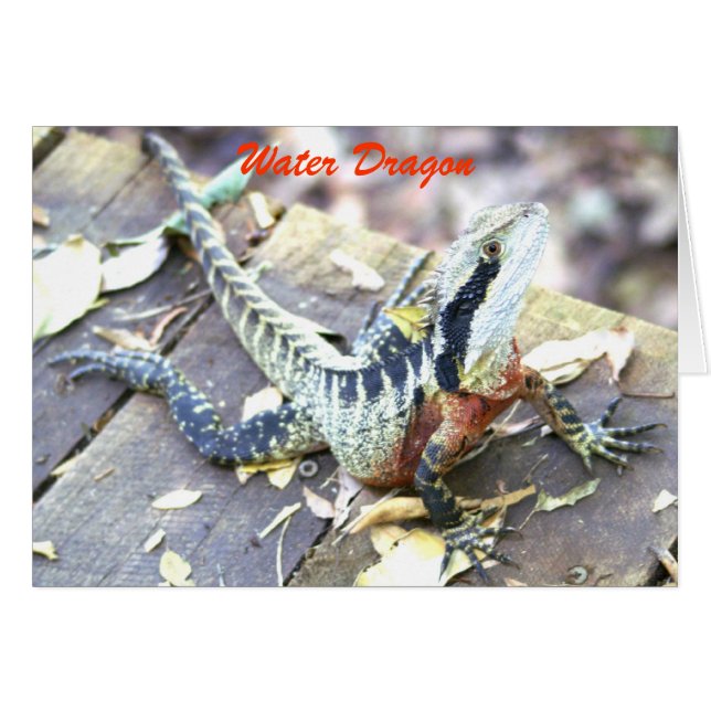 Dragon d'eau (Devant horizontal)