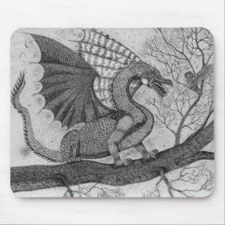 Dragon en Owl Mousepad Muismat