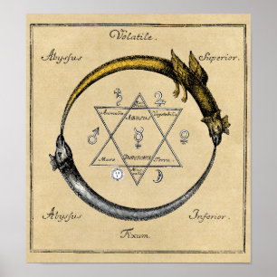 Dragon en Snake Ouroboros Mandala Poster