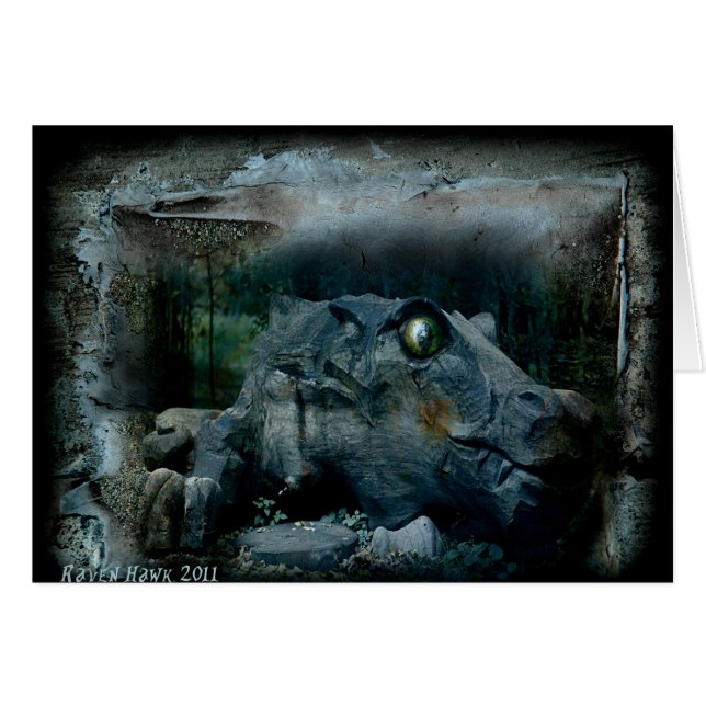 Dragon Eye (Voorkant Horizontaal)