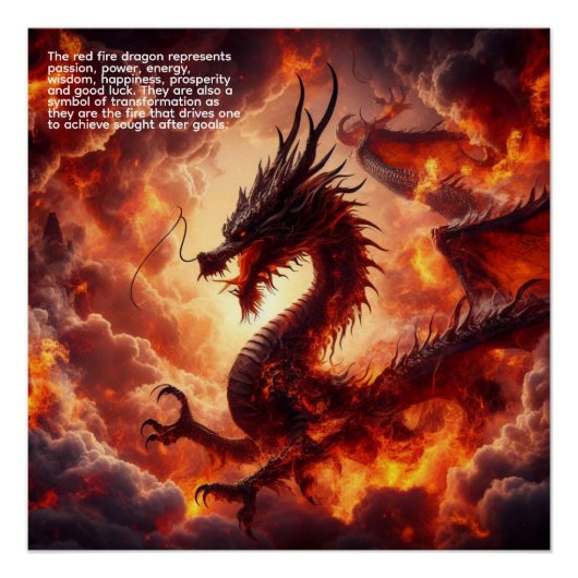Dragon Fire Perfect Poster (Voorkant)