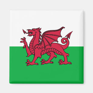 Dragon Flag of Wales, Celtic Welsh National Flag Magneet