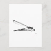 Dragon Fly Briefkaart (Voorkant)