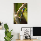 Dragon Fly Poster (Thuiskantoor)