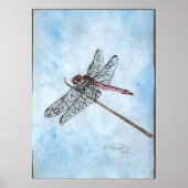 Dragon Fly Poster (Voorkant)